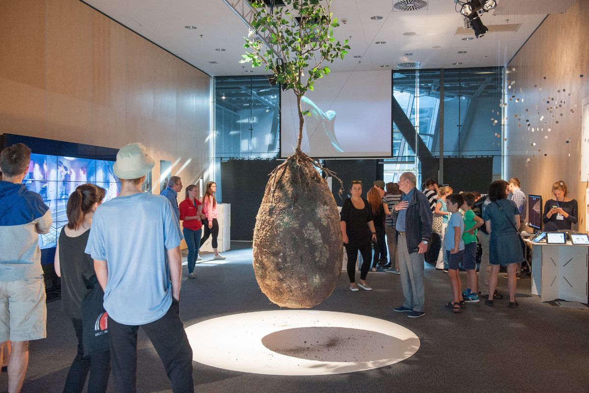introducing tree pod burial concept