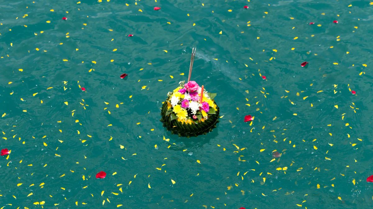 Floral tribute floating on water surrounded by scattered flower petals