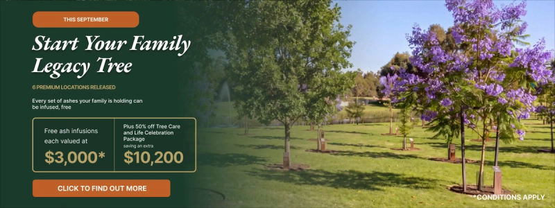 Start Your Family Legacy Tree