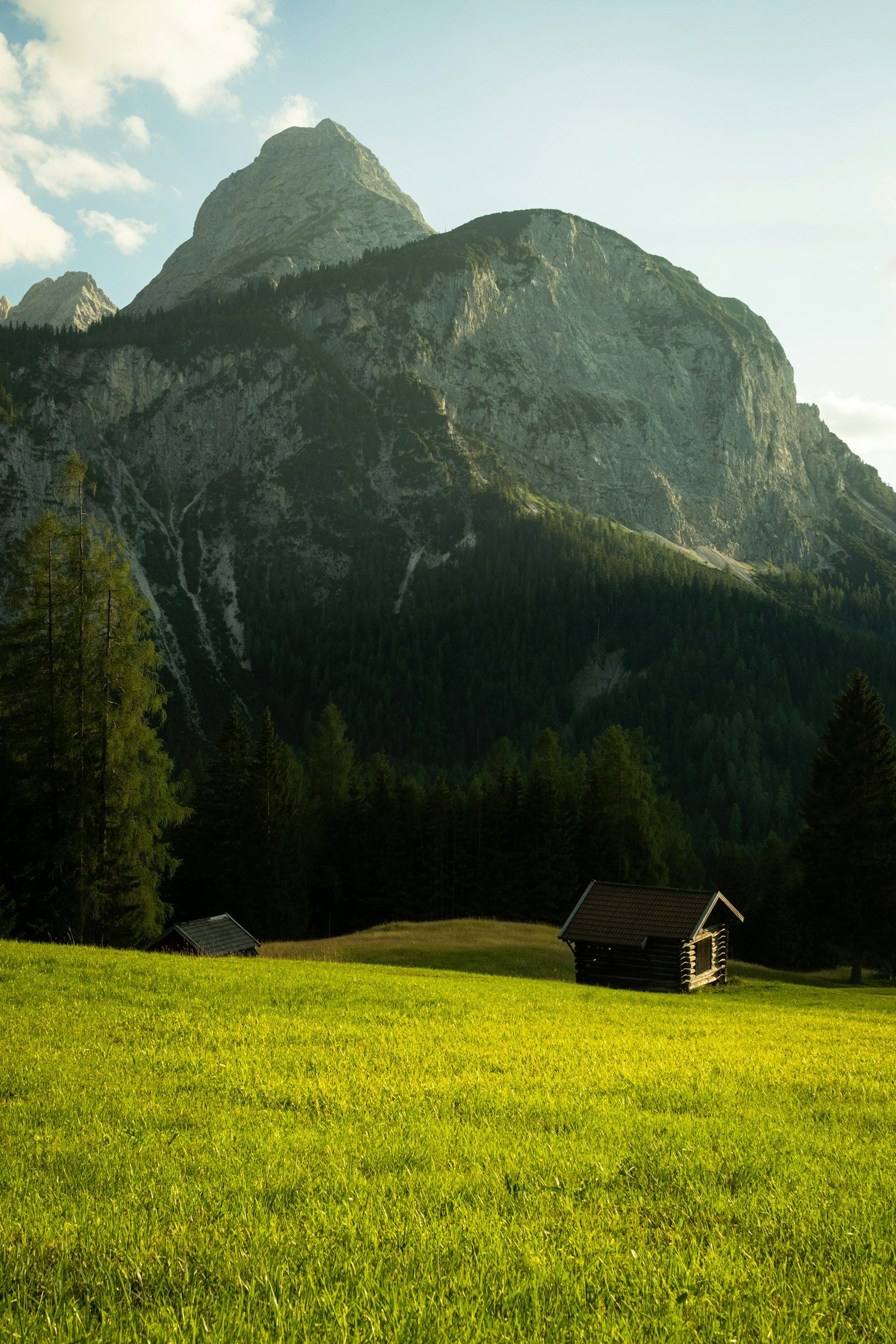 Cabin in a lush meadow before a mountain