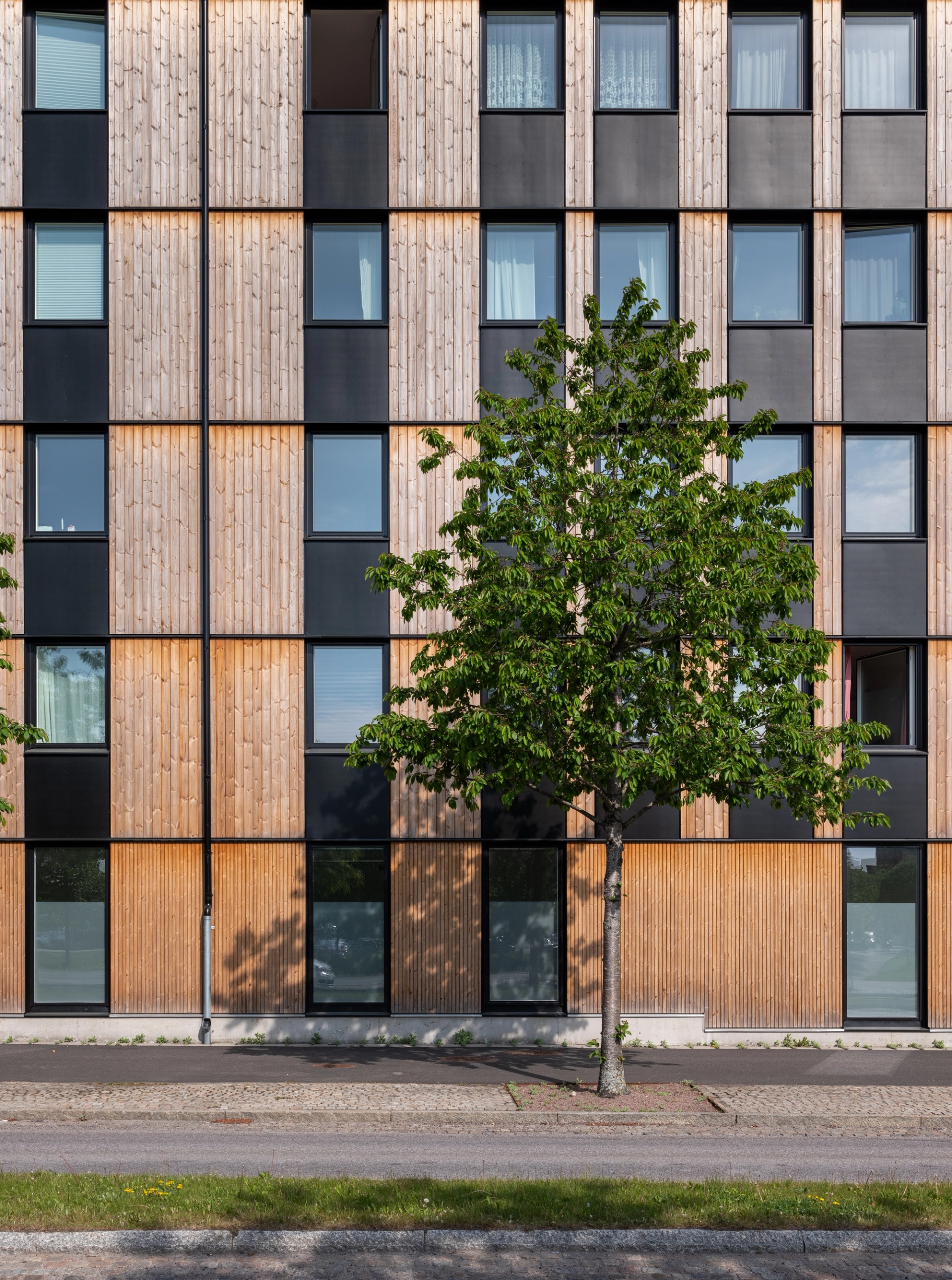 Titteridamm fasad i trä