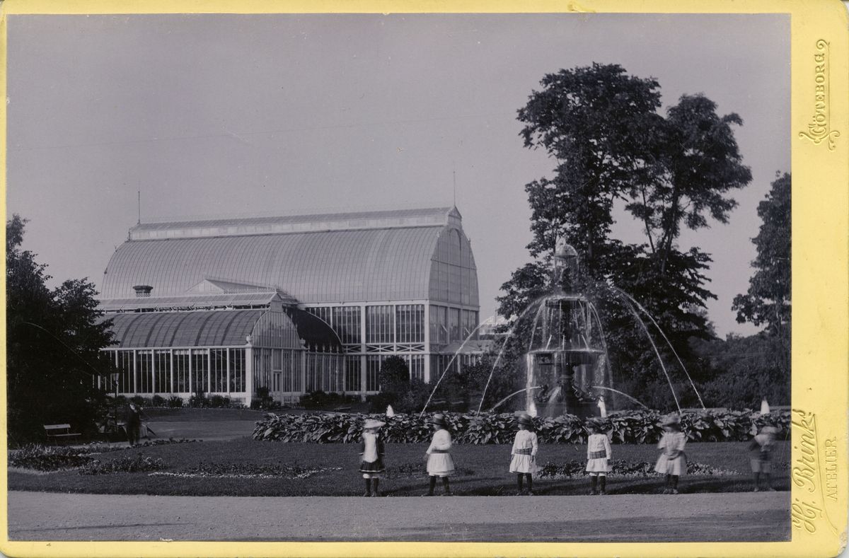 Arkivbild 1890-tal Palmhuset Trädgårdsföreningen Göteborg