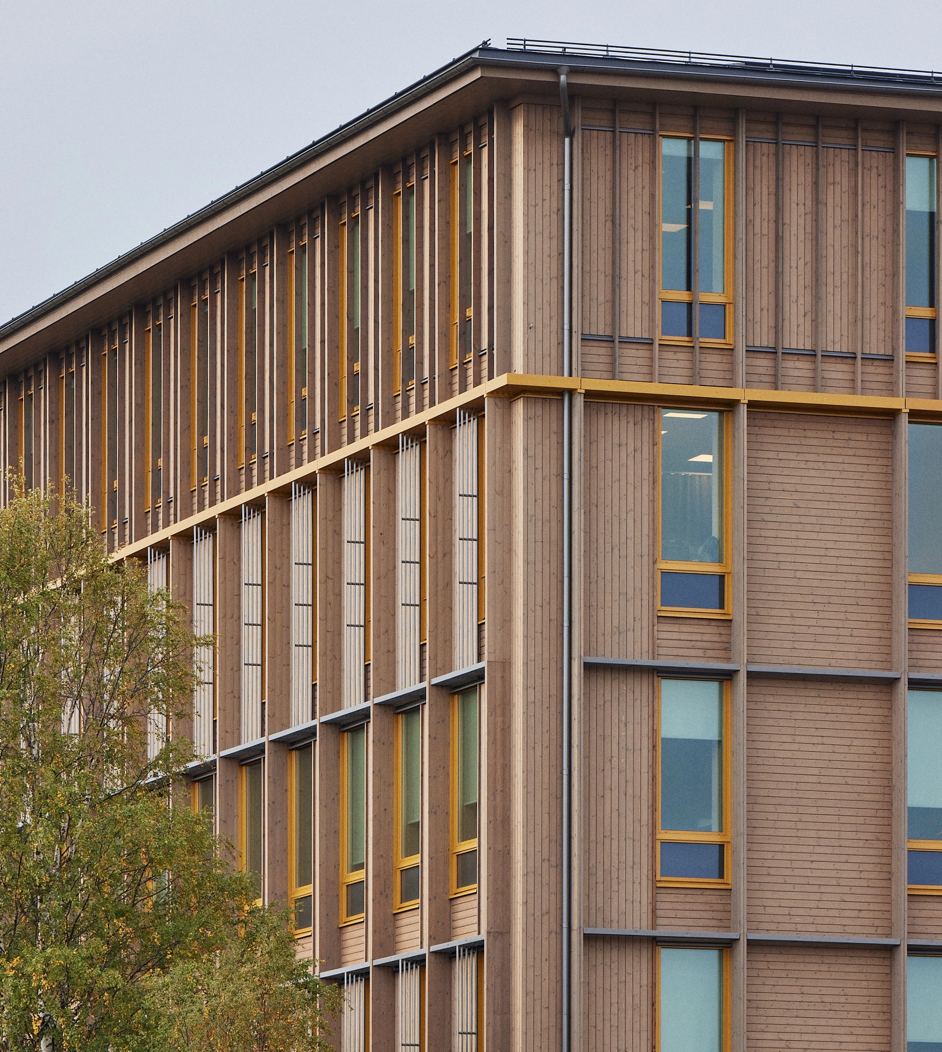 Byggnad 66 Arkitekterna Krook & Tjäder