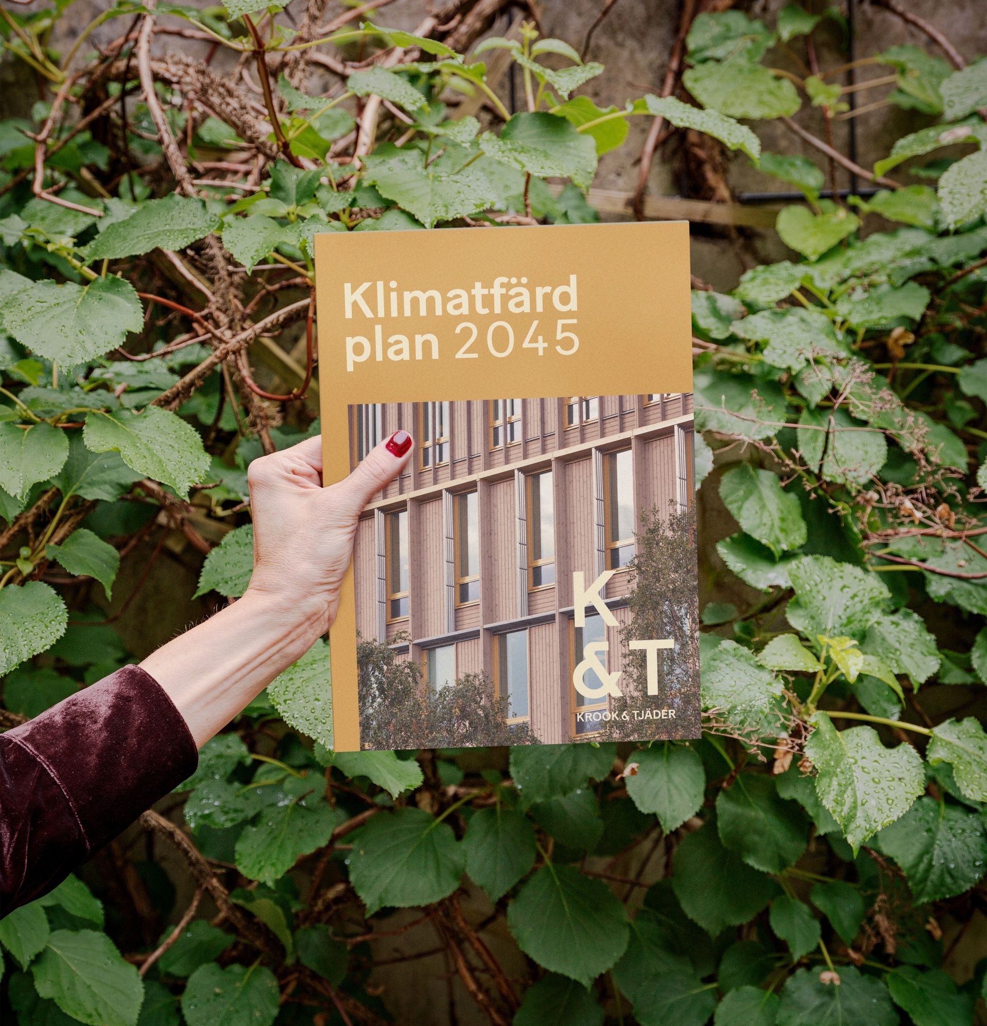Krook & Tjäder Hållbarhetsrapport 2024