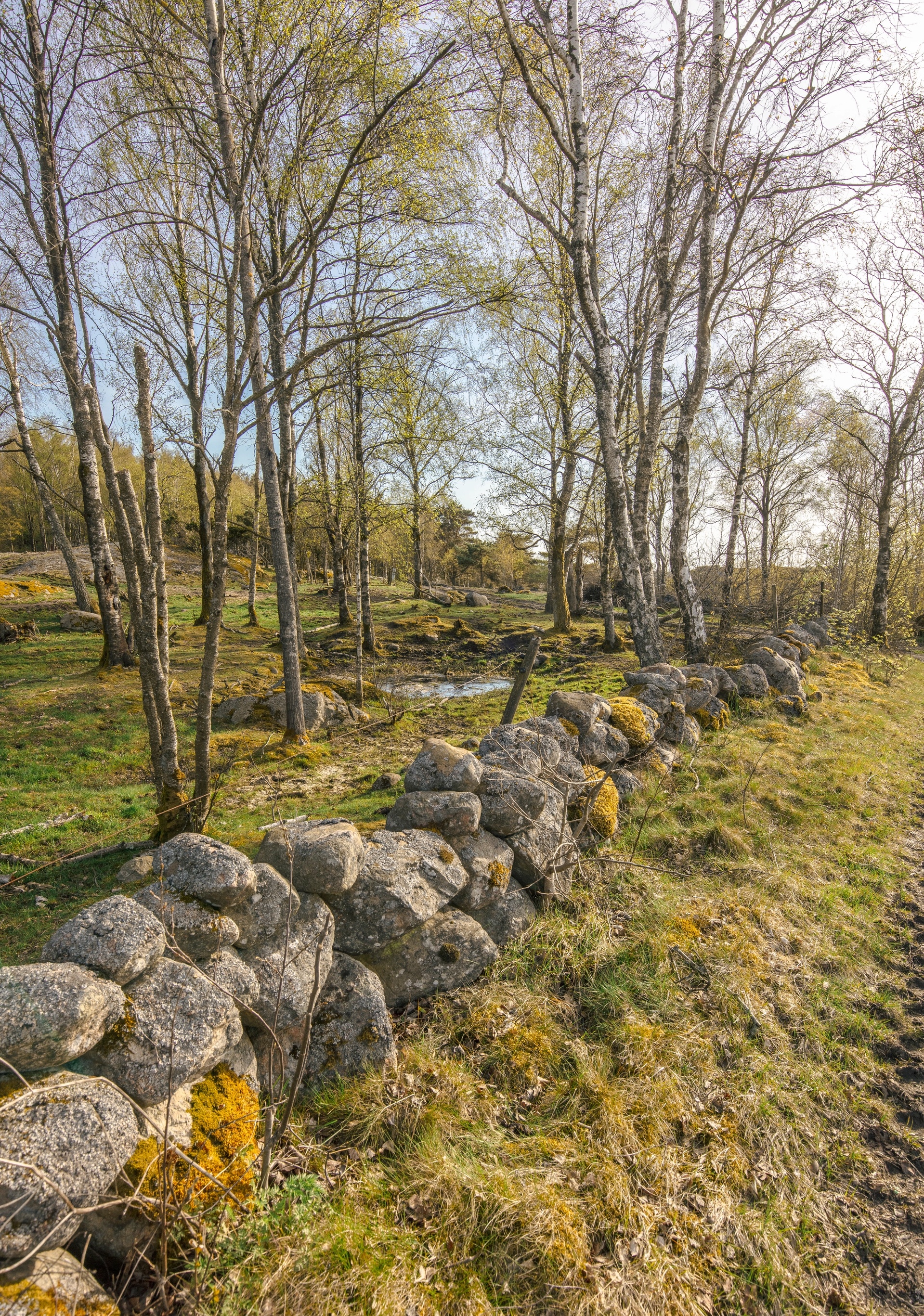 Jordbruksmark Göteborg, stengärdsgård