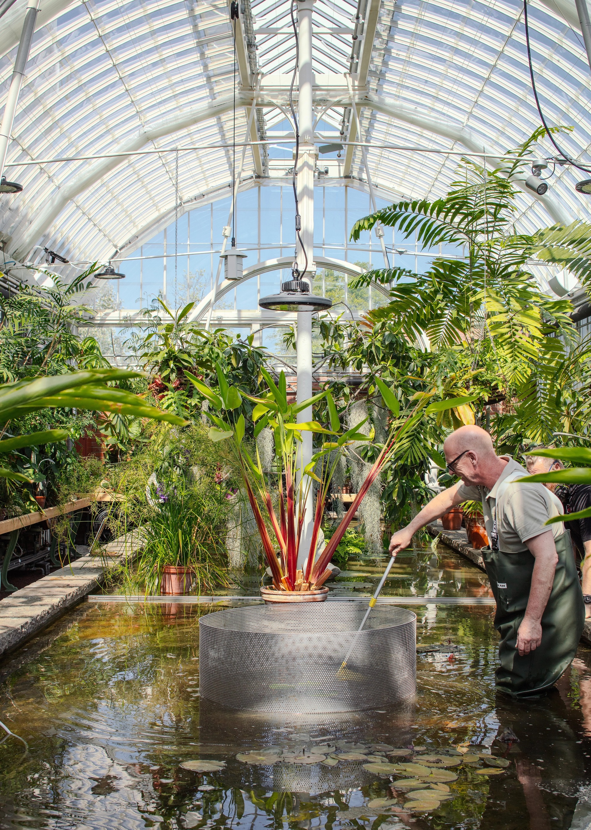 Trädgårdsmästare i Palmhuset, Göteborg