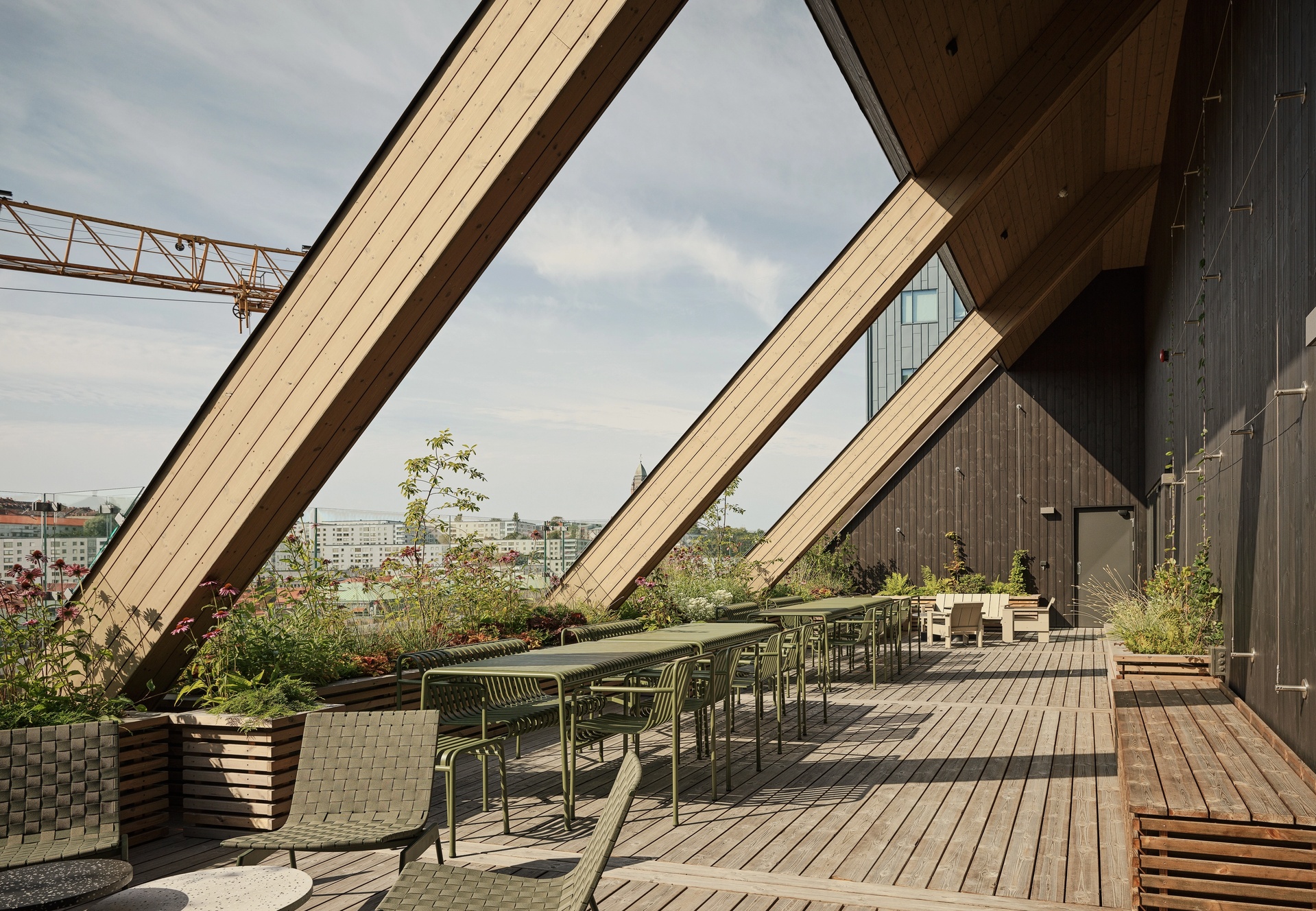 Habitat 7 takterrass