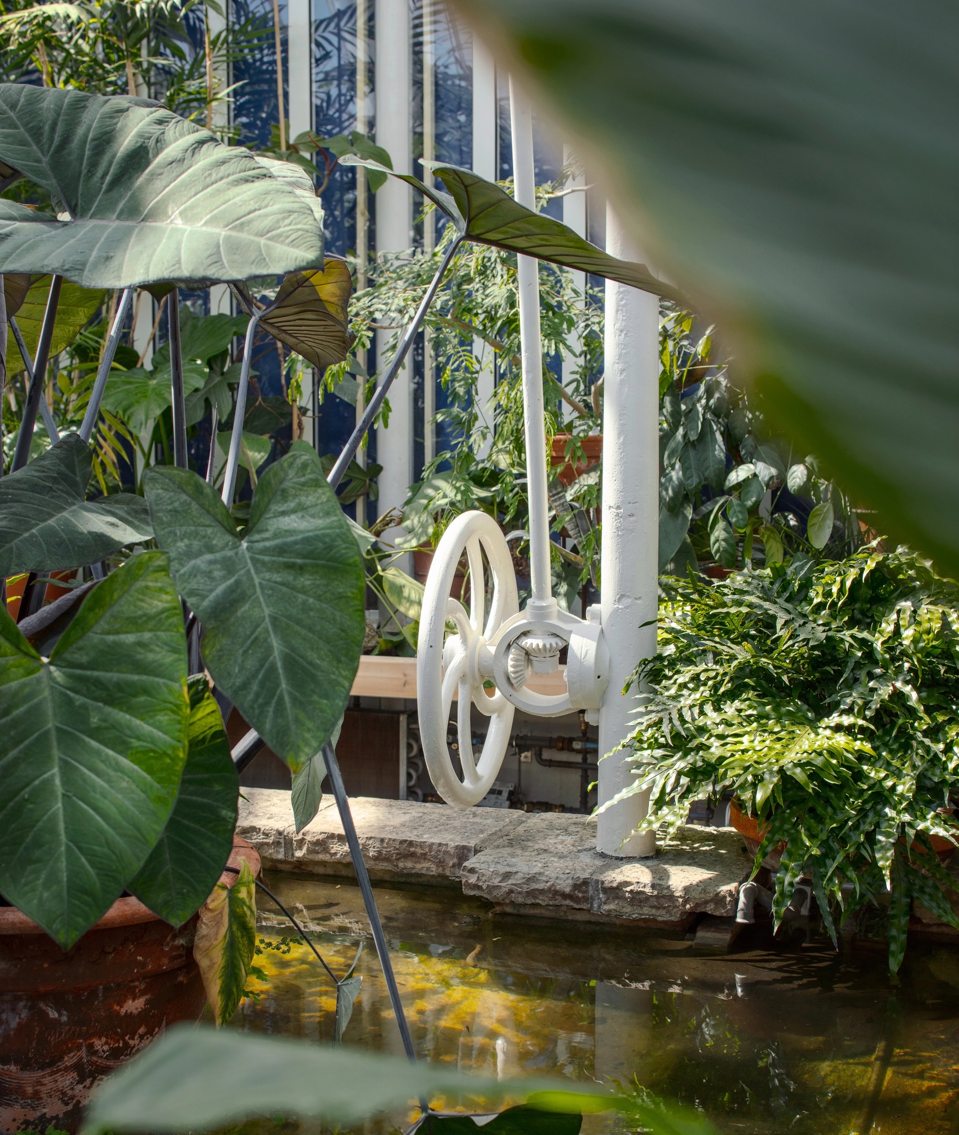 Detaljbild efter restaurering i Palmhuset