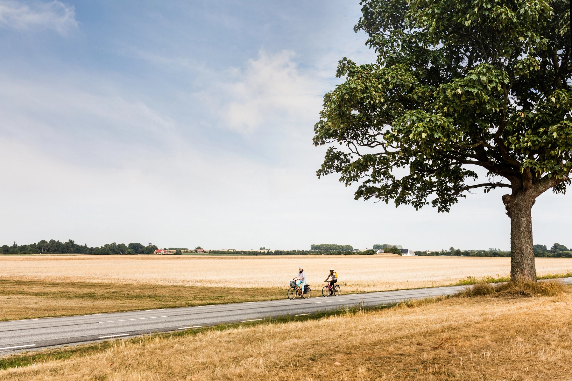 Foto på cykelled längs landsväg med åkrar och två cyklister