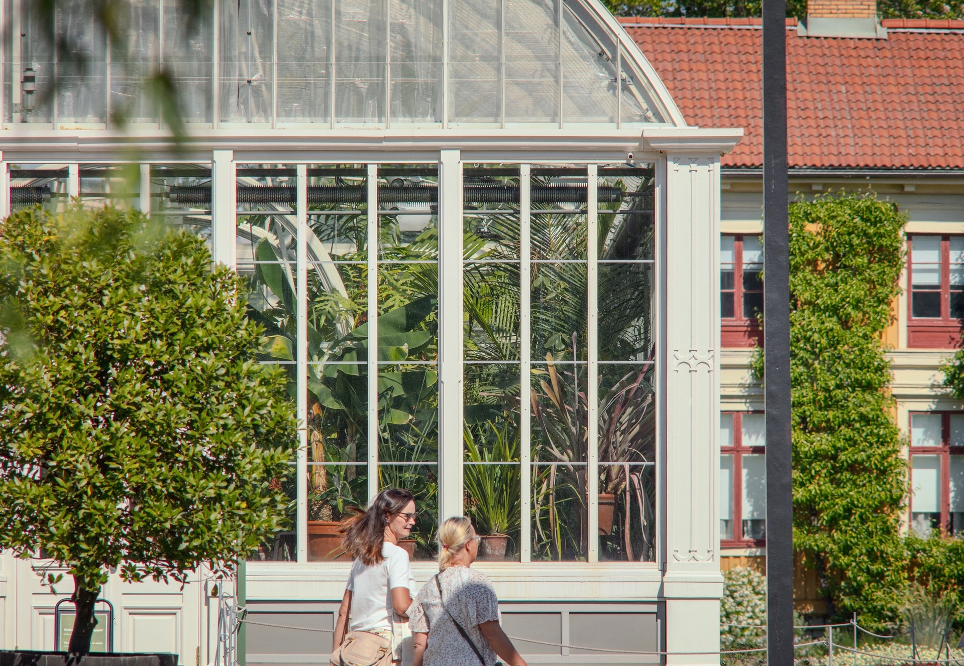 Palmhuset Göteborg besökare