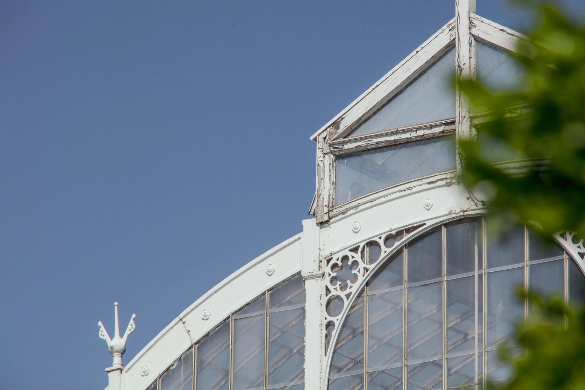 Detalj Palmhuset Göteborg