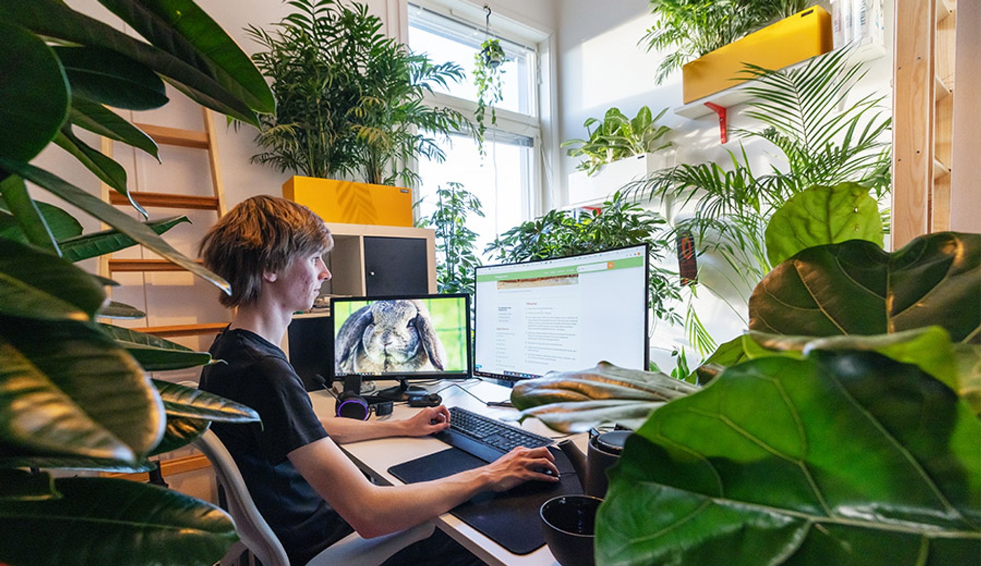 Foto på person som sitter vid skrivbord med datorn omgiven av växter.