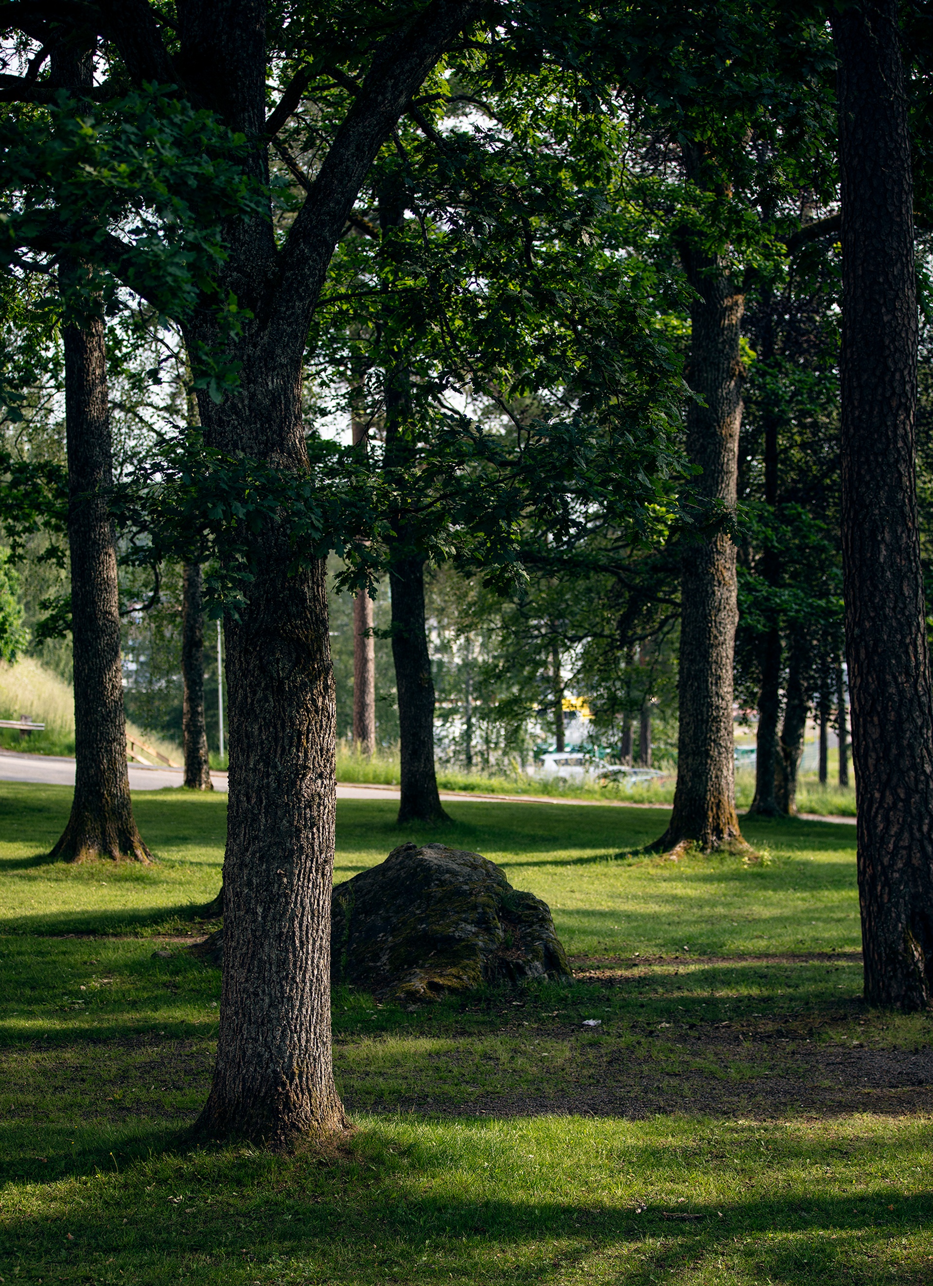 Miljöbild från stadsdelen Regementsstaden i Borås, närhet till natur