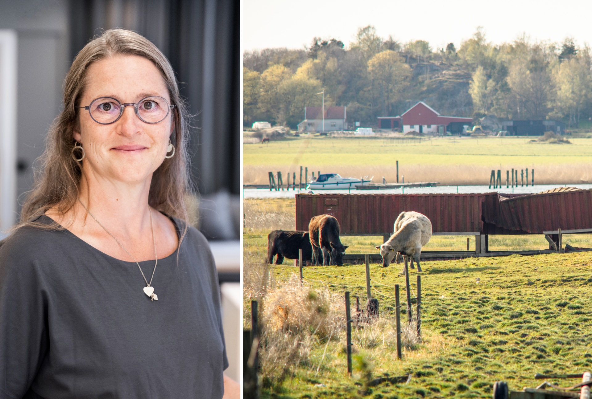 Lina Lindegren, landskapsarkitekt Krook & Tjäder Halmstad