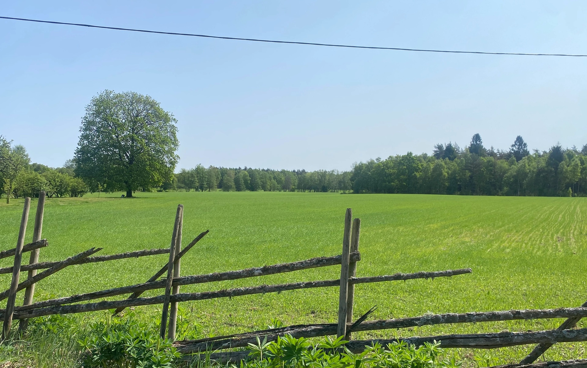 Gärdsgård och åker, Laholms kommun