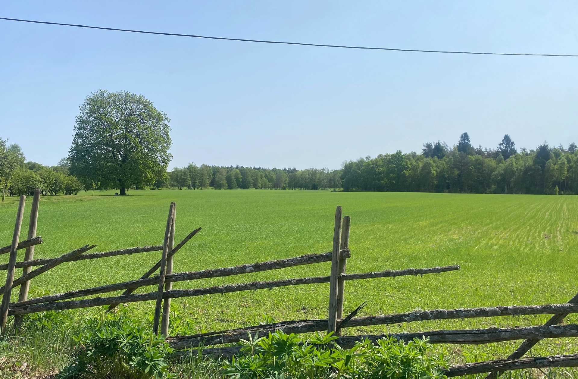Gärdsgård och åker, Laholms kommun
