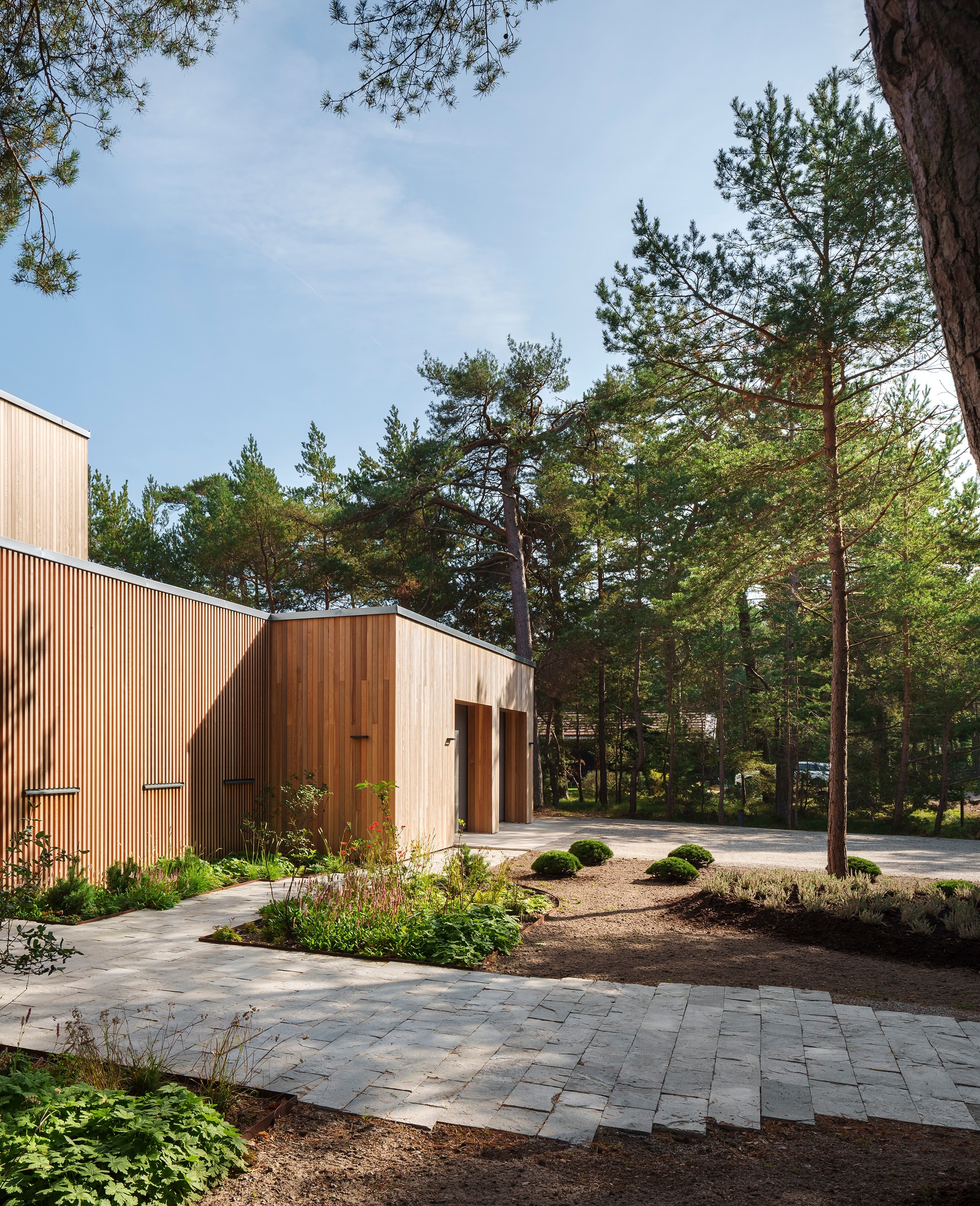 Villa J omgivet av tallar
