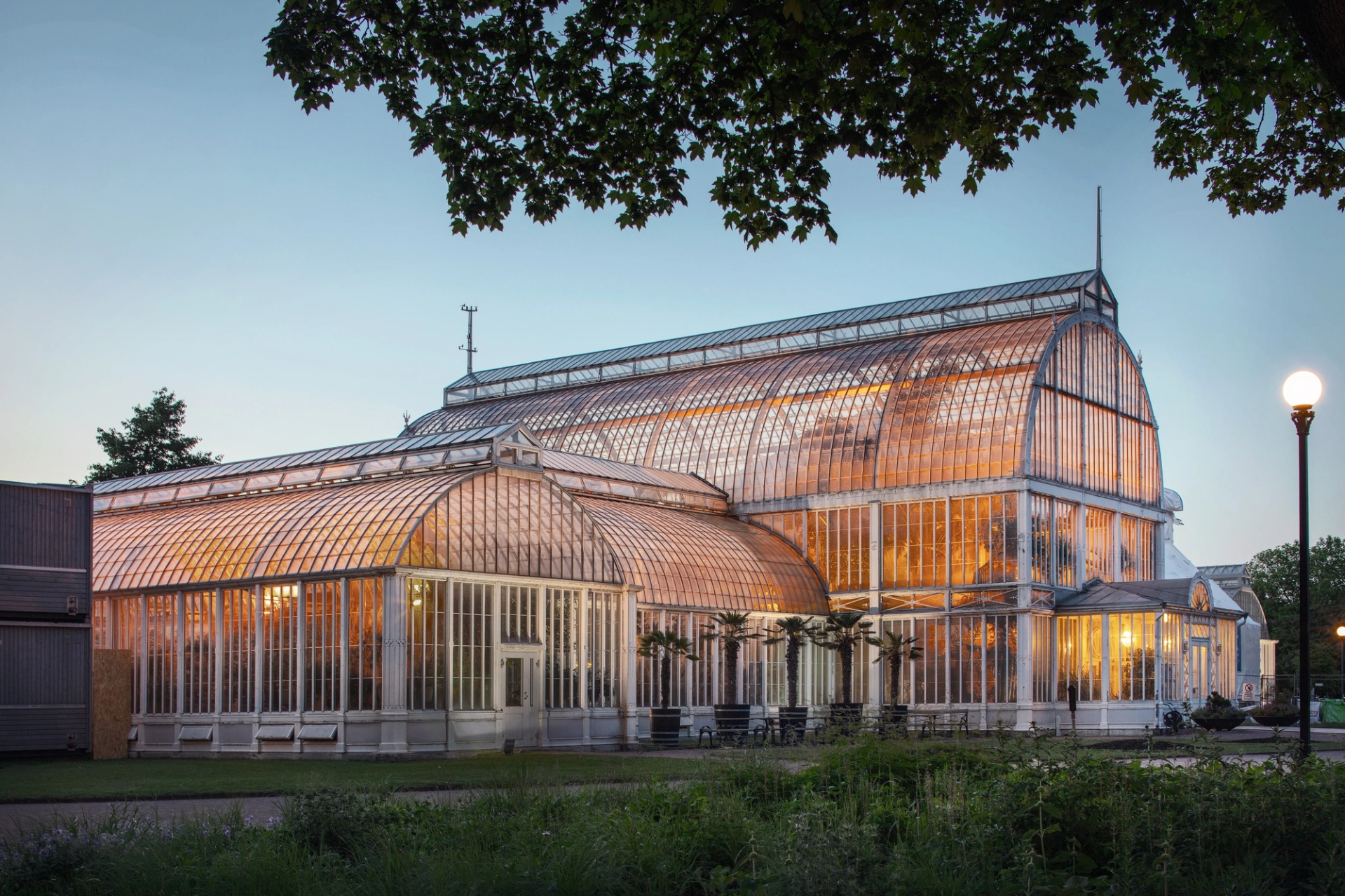 Palmhuset i Trädgårdsföreningen Göteborg. Exteriör kväll, upplyst