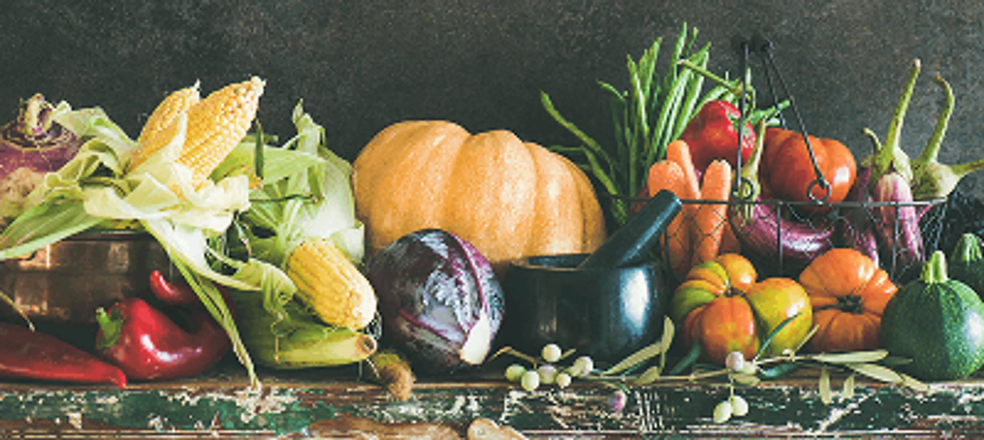 From Food to Fuel: How Your Body Extracts Energy