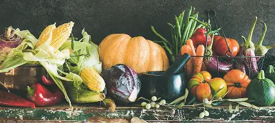 From Food to Fuel: How Your Body Extracts Energy