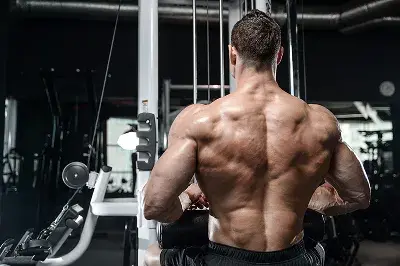 Building Muscle for Hardgainers: Strategies for High Metabolisms