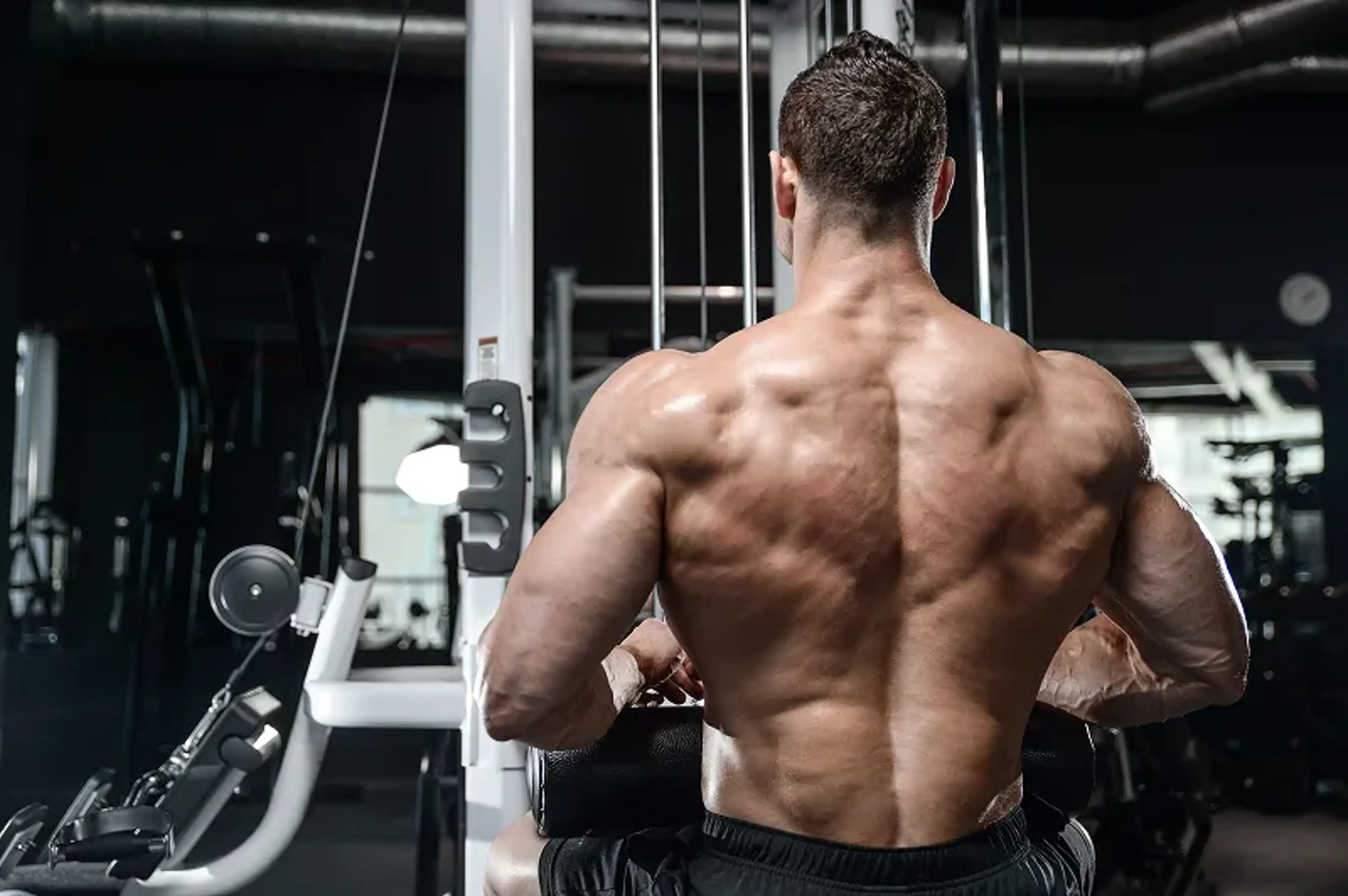 Building Muscle for Hardgainers: Strategies for High Metabolisms