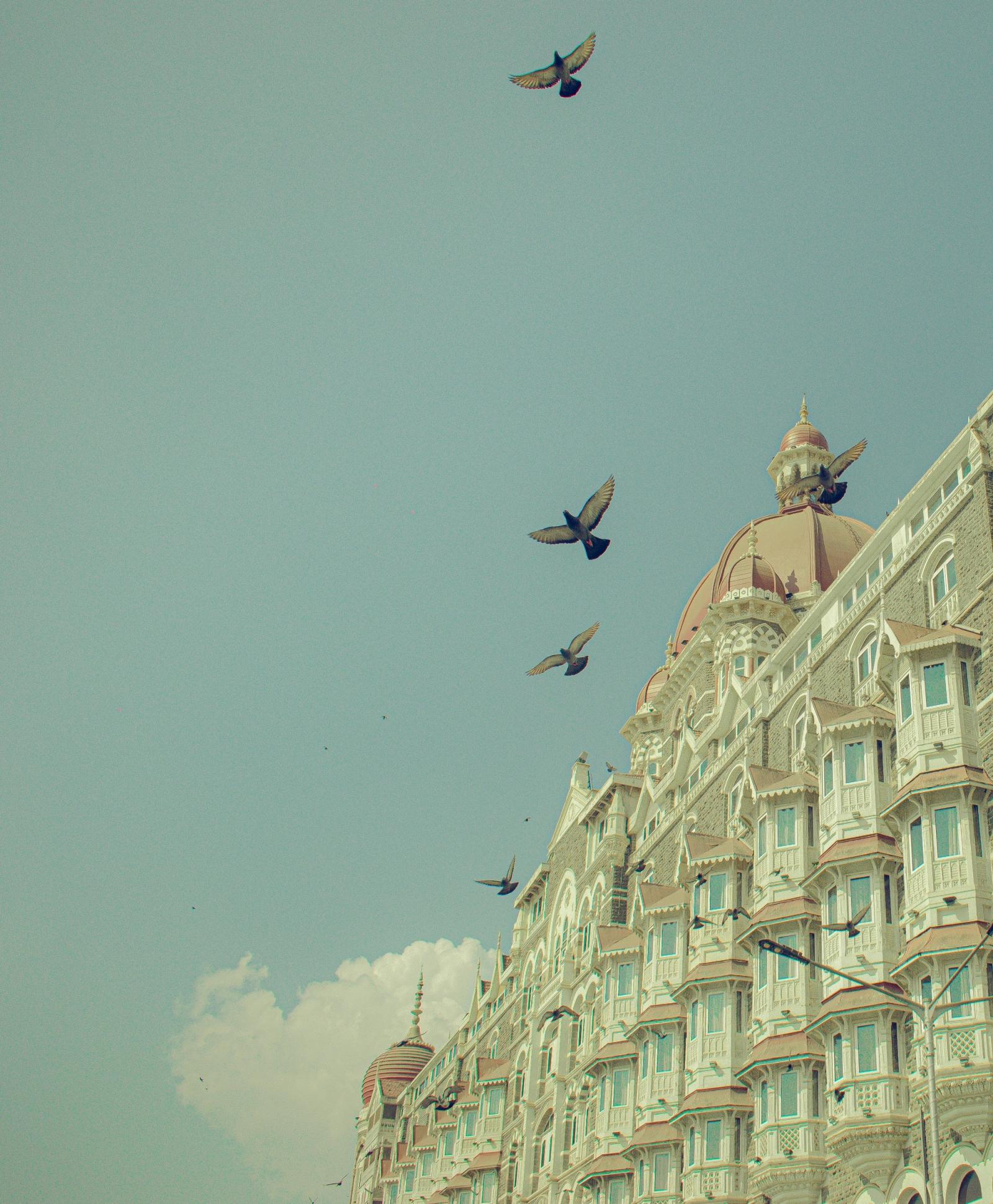 Ready to Book Your Flight to Mumbai?