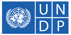 Logo of UNDP