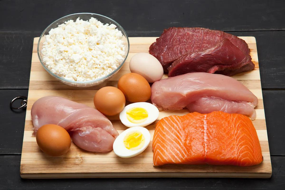 Les meilleures sources d’aliments riches en protéines pour votre régime