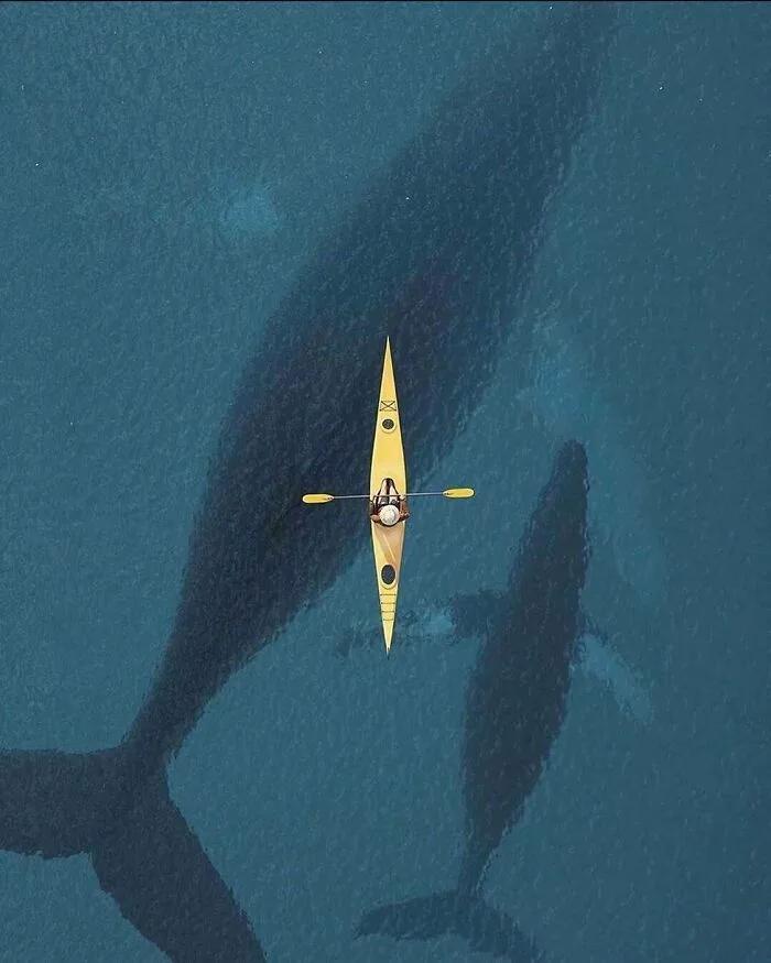 photo illustrant la thalassophobie