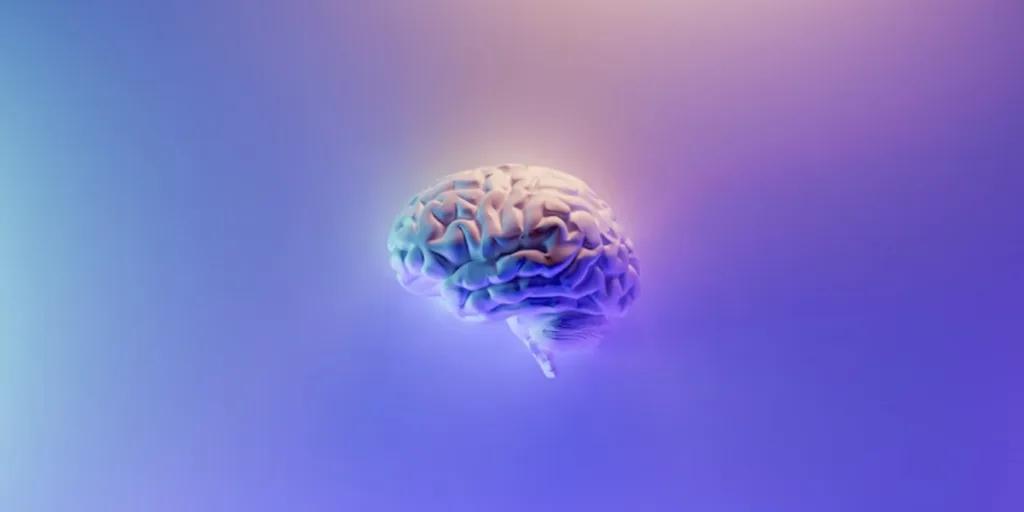 Mémoire Kinesthésique _ Une nouvelle méthode pour retenir ?