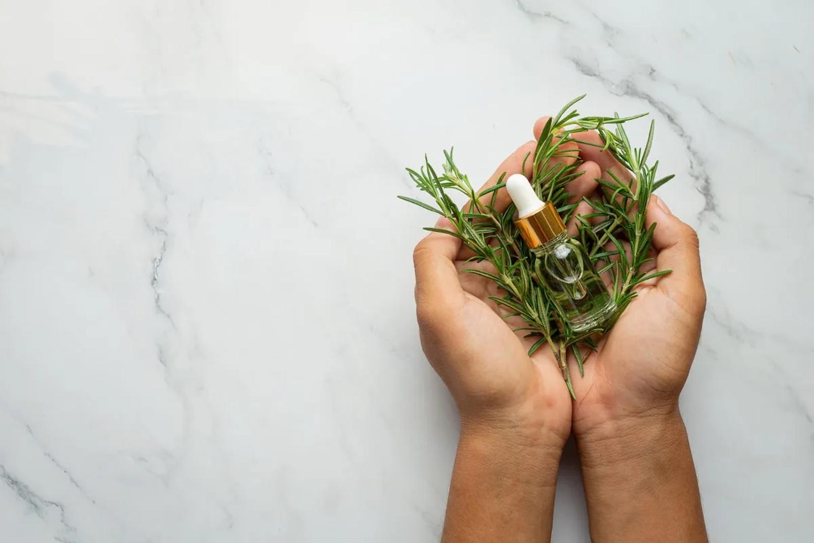 Les bienfaits de la phytothérapie : maigrir et optimiser votre perte de poids