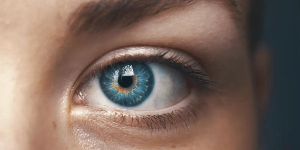 Comment faire travailler et améliorer sa Mémoire Visuelle ?