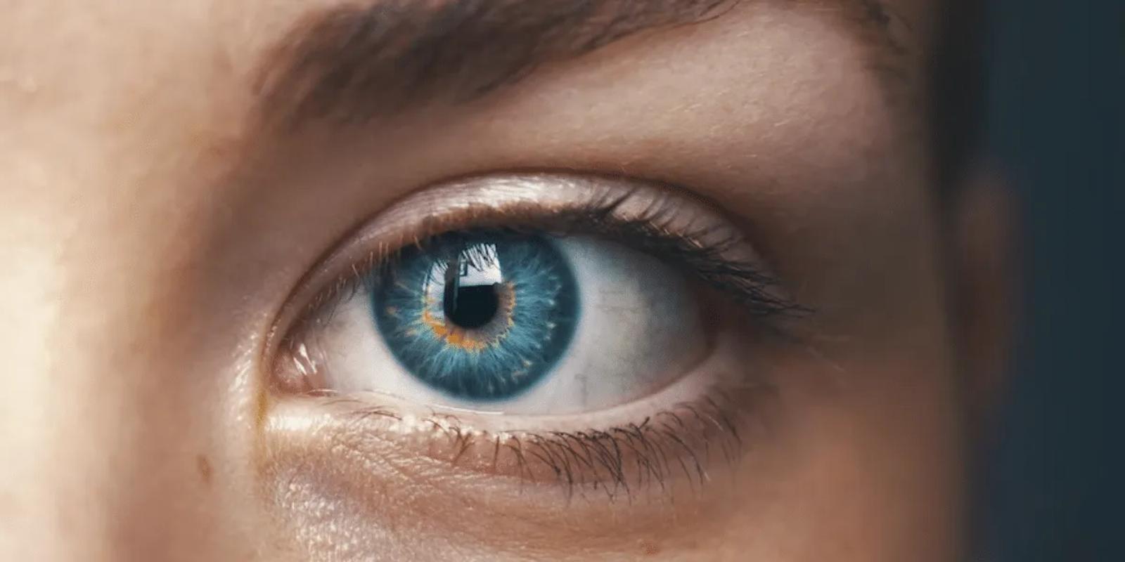 Comment faire travailler et améliorer sa Mémoire Visuelle ?