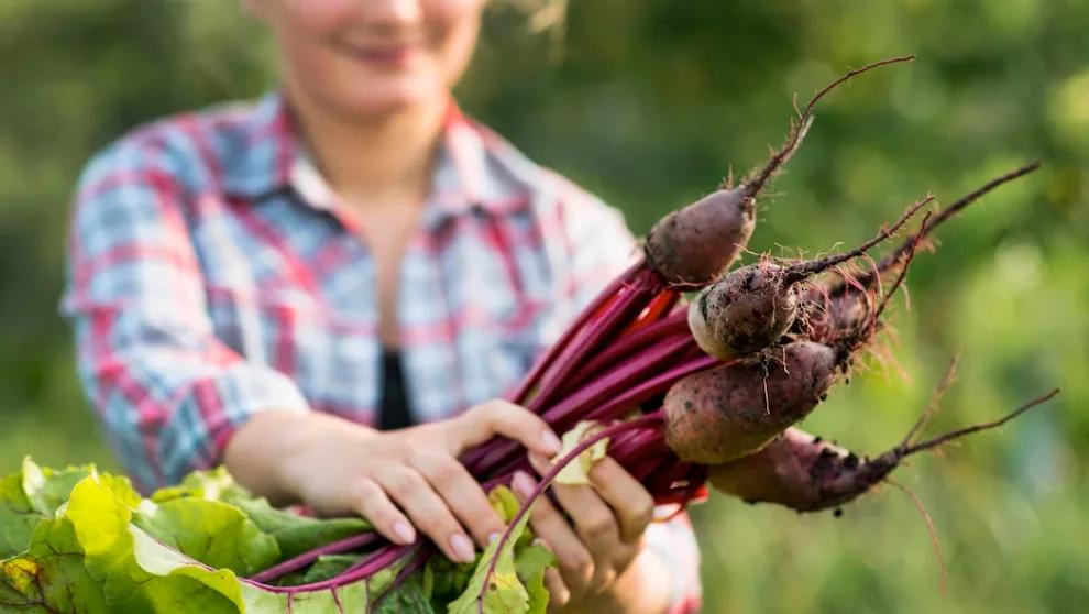 7 avantages pour la santé de manger des betteraves