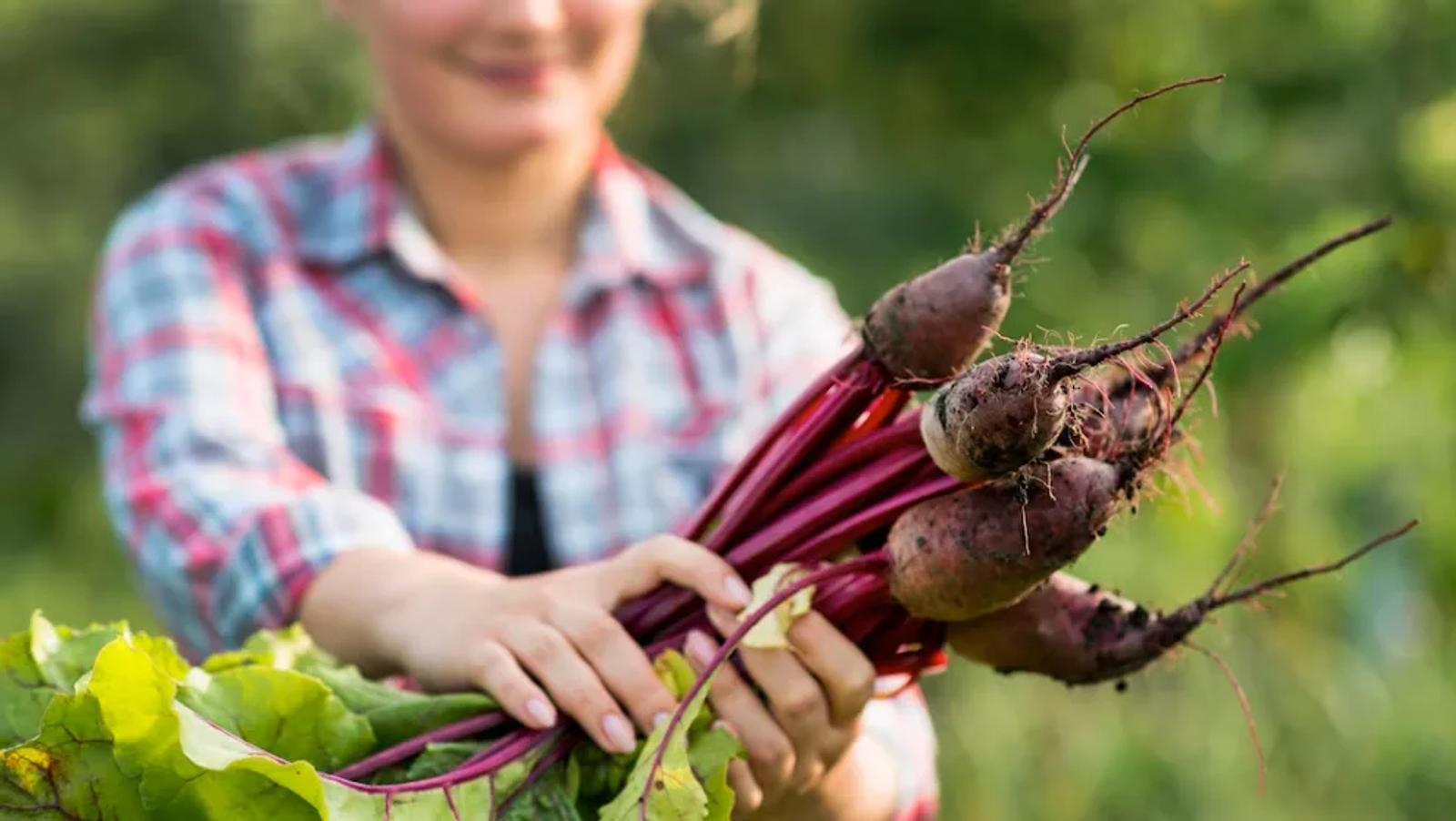 7 avantages pour la santé de manger des betteraves