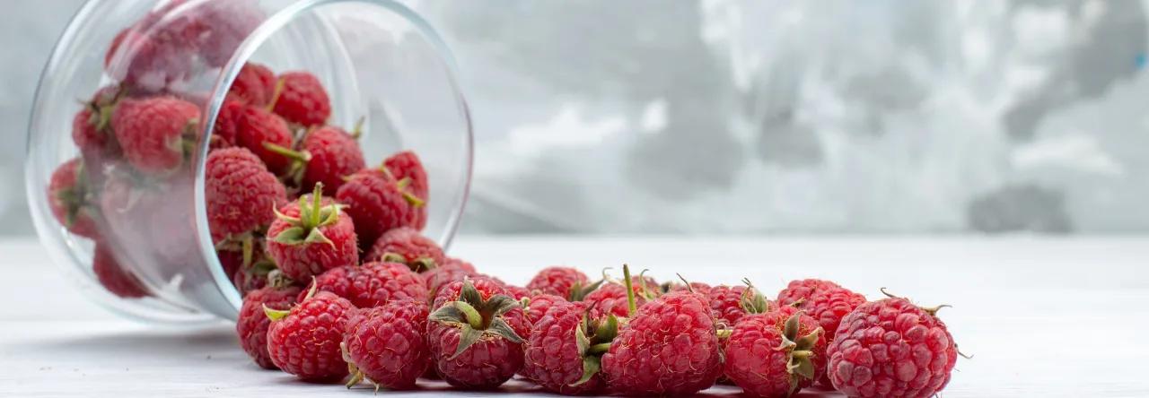 7 raisons pour lesquelles les framboises sont si bonnes pour vous