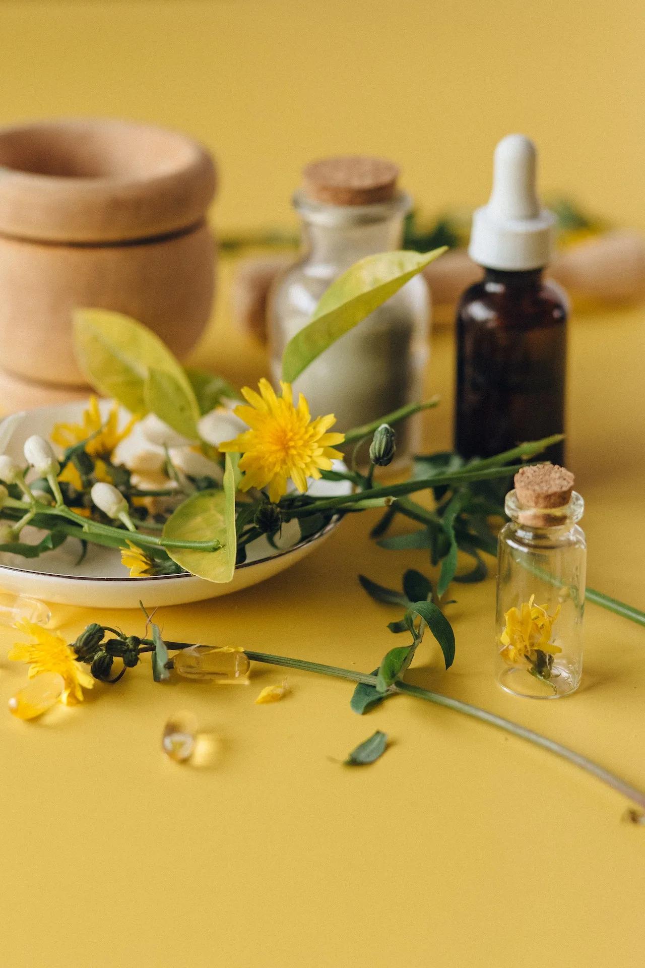 Les 10 meilleures plantes médicinales pour soulager le stress et l’anxiété