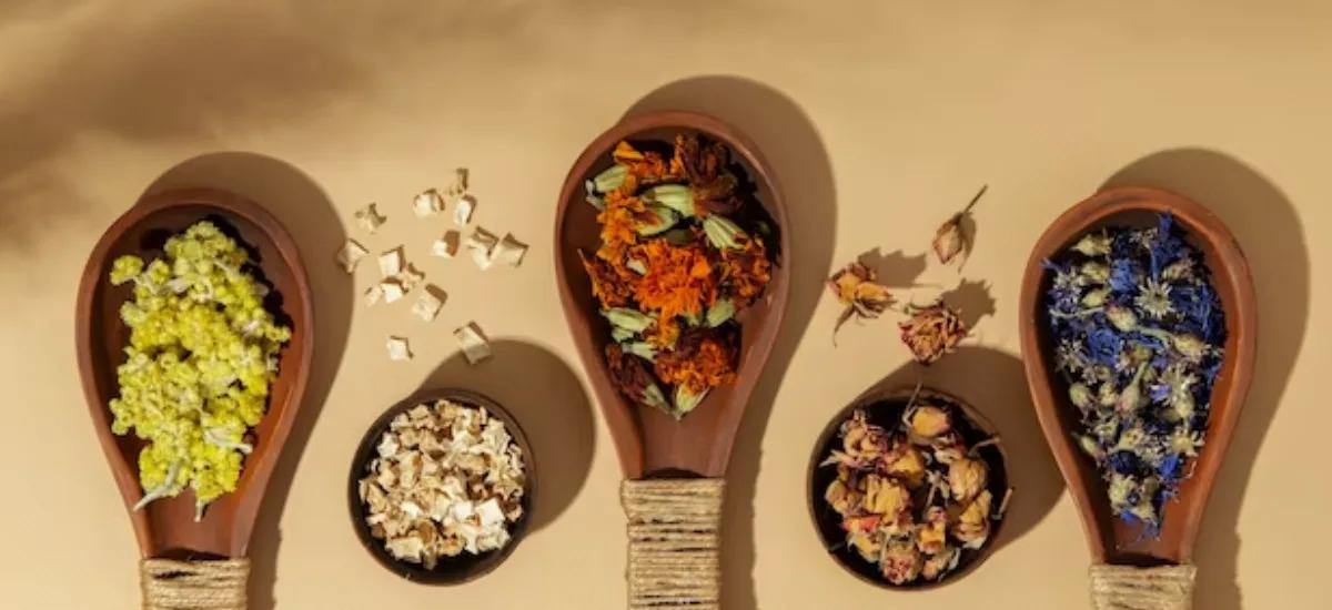 La phytothérapie : une alternative naturelle pour favoriser le bien-être