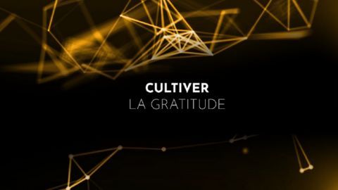 Cultiver la gratitude