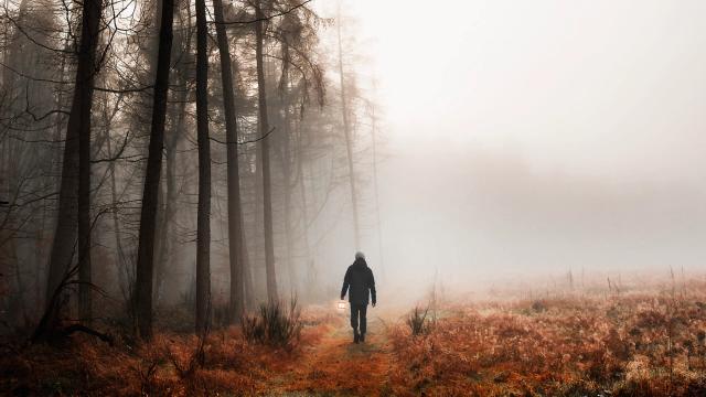 La peur de la solitude : un guide pour apprendre à s’épanouir dans sa propre compagnie