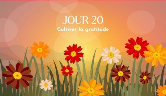 Cultiver la gratitude