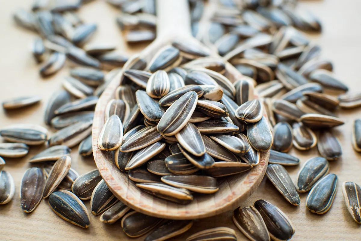 Les bienfaits des graines de tournesol pour une santé éclatante