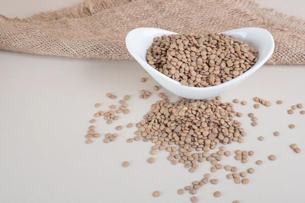 Les bienfaits des lentilles: une source riche en protéines végétales