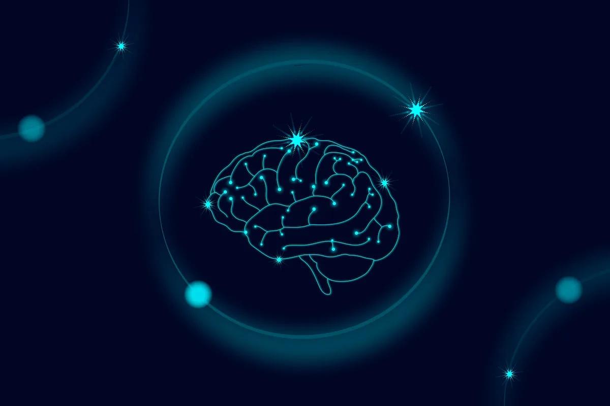 Quelles sont les réactions du cerveau face au stress ?