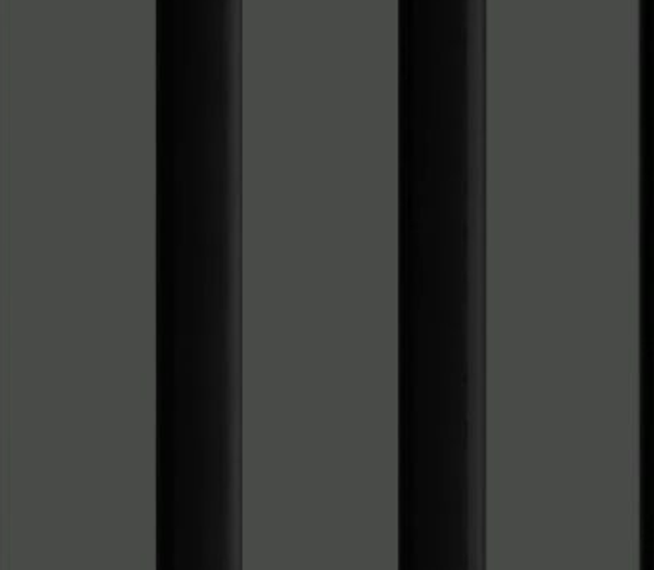 Polimer Lambiri D404-107