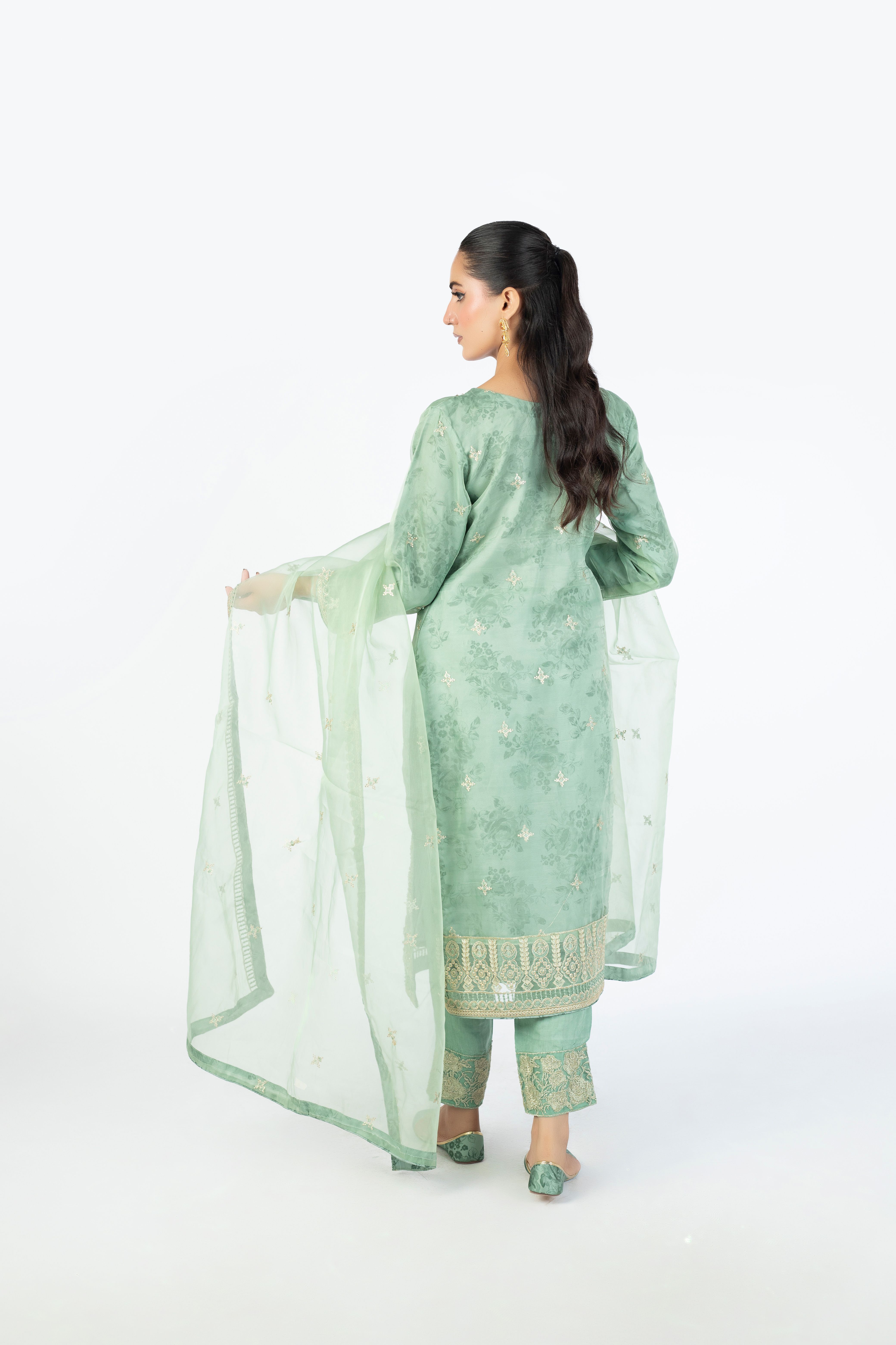 Mint Green Organza Embellished Ensemble - Image 1 thumbnail 3