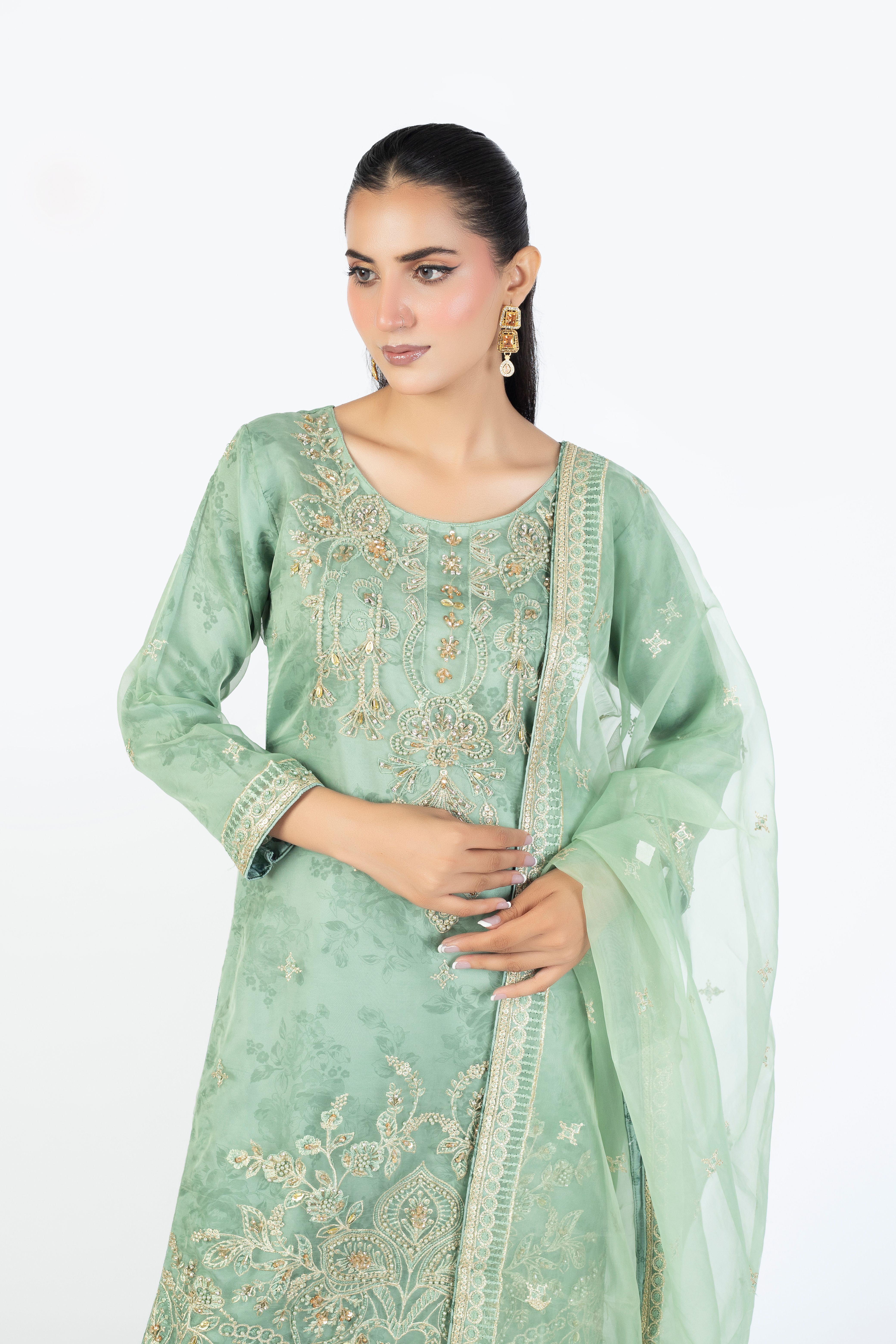 Mint Green Organza Embellished Ensemble - Image 1 thumbnail 4