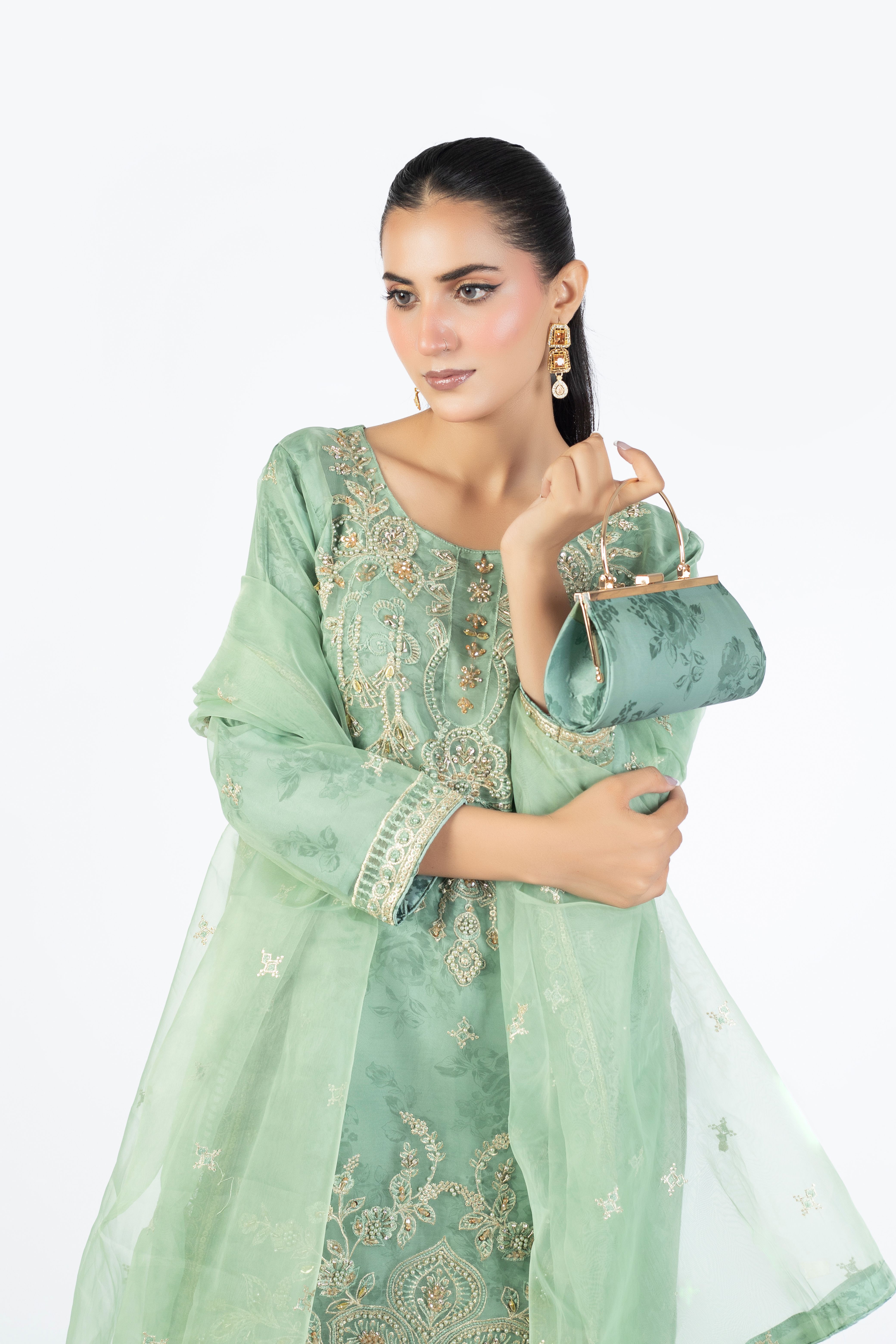 Mint Green Organza Embellished Ensemble - Image 1 thumbnail 5