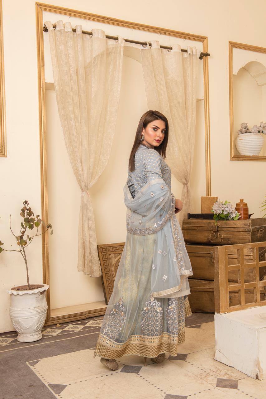 Ice Blue Embroidered Net Maxi image 1 thumbnail 2